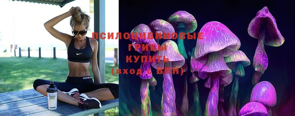 мяу мяу мука Семилуки
