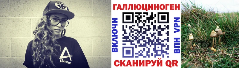Псилоцибиновые грибы прущие грибы  darknet наркотические препараты  Волхов  blacksprut сайт 