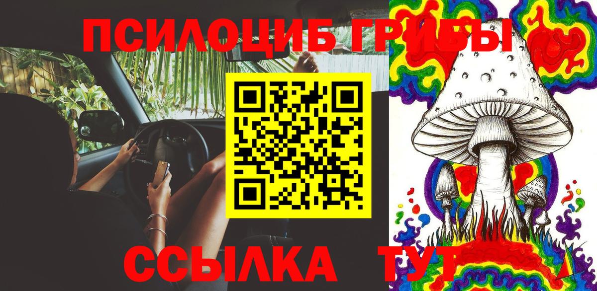 Псилоцибиновые грибы ЛСД Волхов