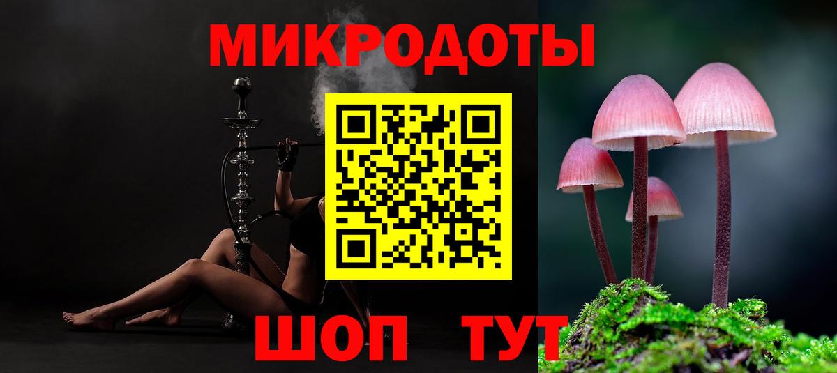 Псилоцибиновые грибы Psilocybe  Вход с VPN  Волхов  Галлюциногенные грибы Psilocybe 