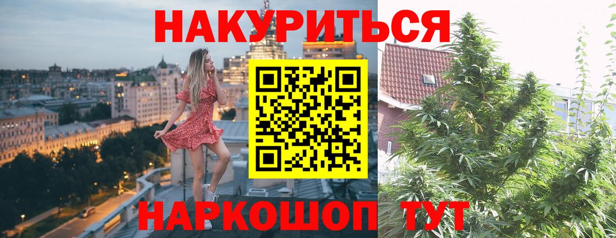 Каннабис индика  Канабис семена  Вход с VPN  МАРИХУАНА OG Kush  Волхов 